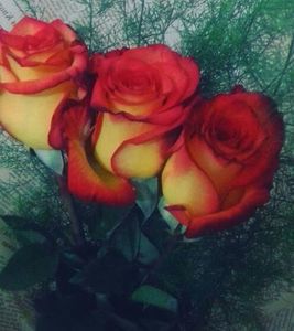 111249322_ADNVCQS3-1