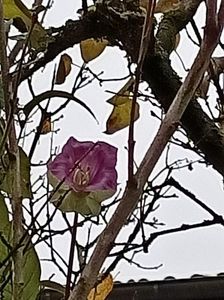 Img.2022.12.02