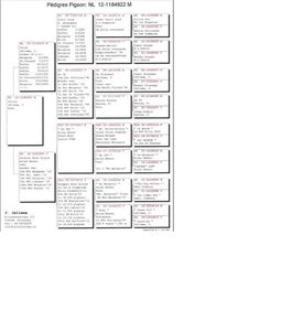 Pedigree NL12-1184922 Julius