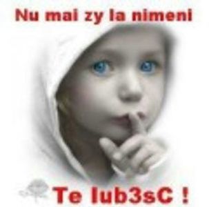 90318530_VIKIBUP3-1