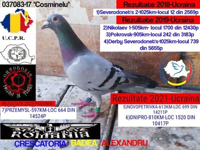 COSMINELU-037083-17