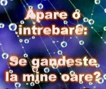 90282493_UYXXOPX3-1