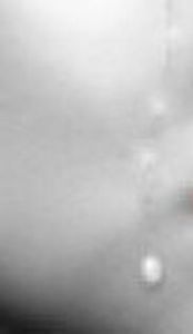 90282306_WHXPNVC-1