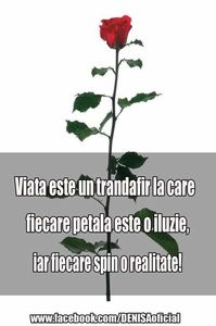 13529134_1299849980043651_7675287135551001969_n-1