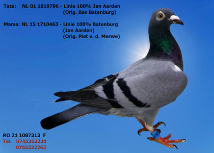RO 21 1087313 F Pret 150 lei + transportul