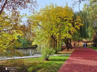 w-Peisaj de toamna - Autumn landscape 3