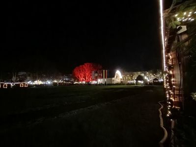 Img.2022.12.10