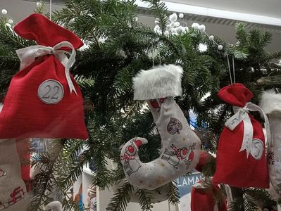 Img.2022.12.03