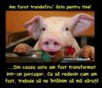 98459623_NIEUYTD