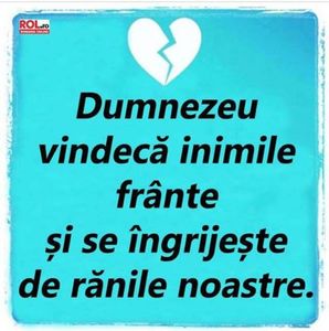 98870229_MMSDMDZ