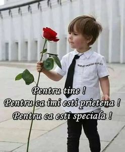 98853496_LLFHDAS3