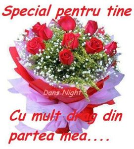 98853465_SROUSZL3