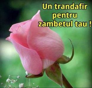 98853450_MPLMTWA