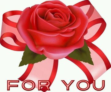 95560369_IMKMHIC3