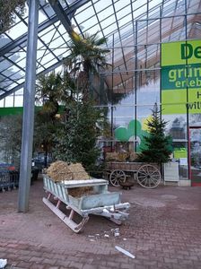 Img.2022.12.19-sanie cu zurgălăi...