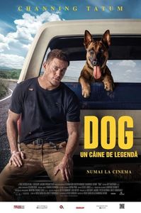 Dog (2022) vazut de mine