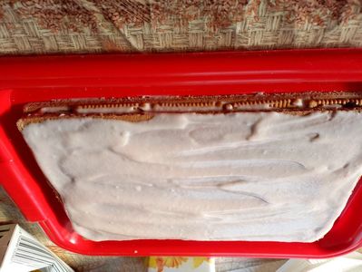 Prajitura de vis cu blaturi de cacao si crema de capsuni