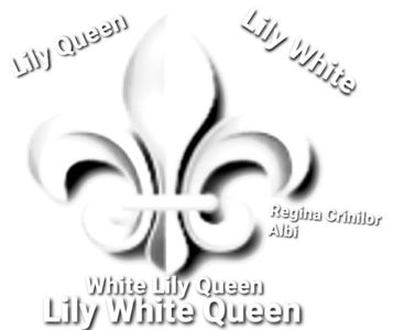 White Lily Queen