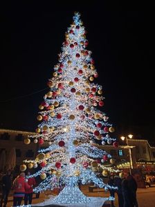 Img.2022.12.26