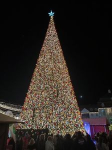 Img.2022.12.26