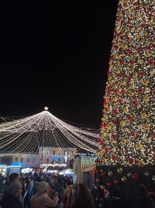 Img.2022.12.26