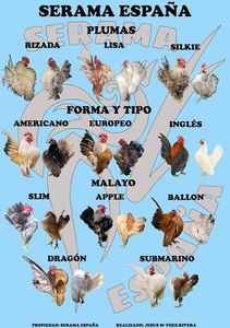 103961339_3942316269173975_2950035937833504770_o