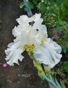 ©; P3290312
