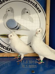 IMG-20230107-WA0024