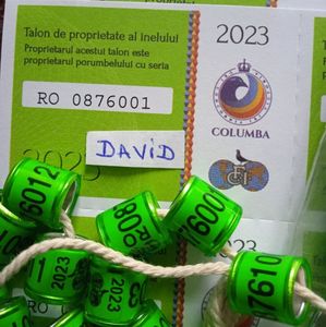 2023-FCI +talon....- 2,5 lei