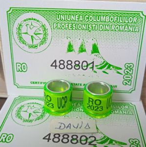 2023 - UCP + talon....-1,5 lei