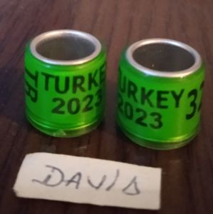2023-Turcia-fara talon....-1 leu