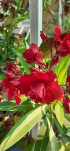 received_554362736237858