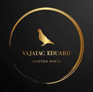 www.eduardvajaiac.com