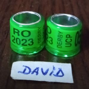 2023 - Verde UCP....-1 leu