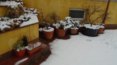 28 ianuarie 2023, prima zapada in Bucuresti!