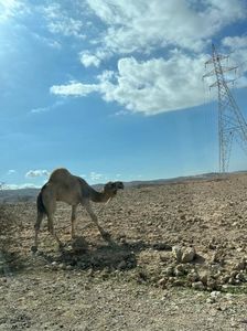 IMG-20230130-WA0018