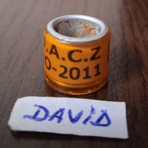 2011-Romania