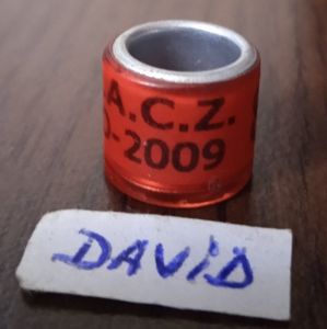 2009-Romania