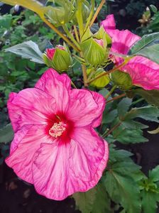 D187E77C-9090-40B1-B069-471ADE042136