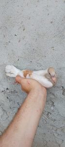 received_394192932654585