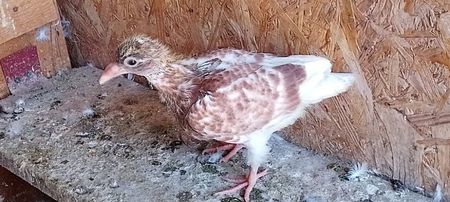 received_1460496014452122