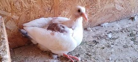 received_1307572943111748