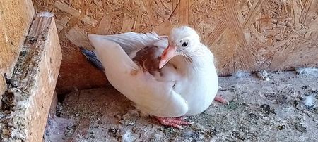 received_619969622980981