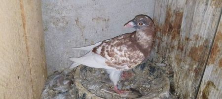 received_1704920493299420