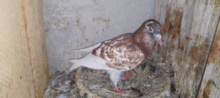 received_1148238599443536