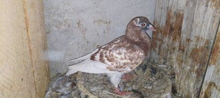 received_1044179286221747