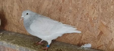 received_1332237514273664