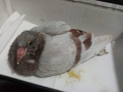 received_574829680481978