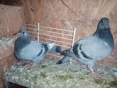 received_1000206947542108