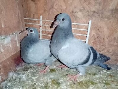 received_478310883938255